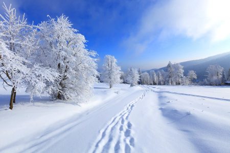 3 Snowboard Films To Get You Pumped For Winter