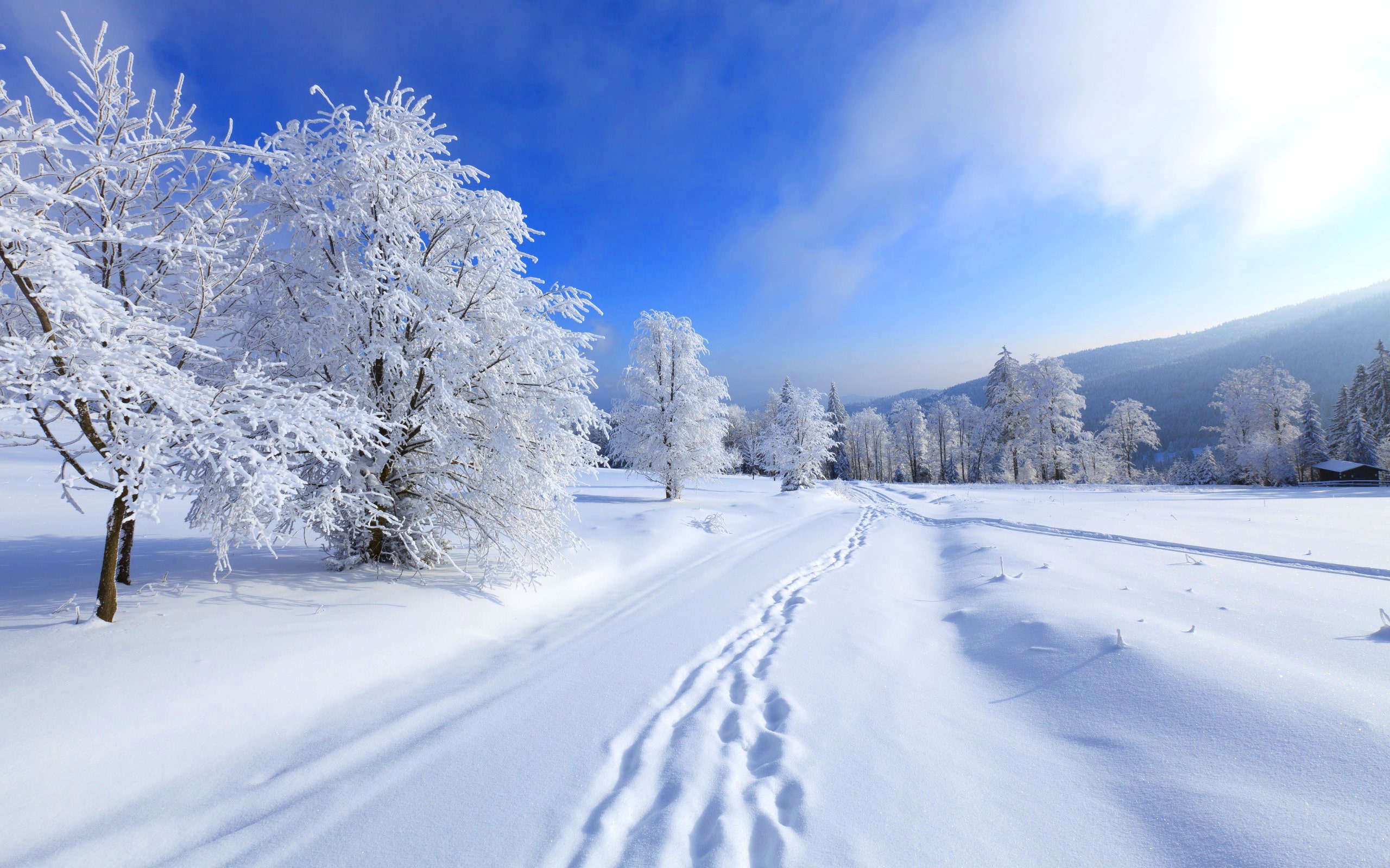 3 Snowboard Films To Get You Pumped For Winter